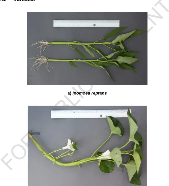 Illustration on varieties, good, defects and damages  A.1  Varieties 