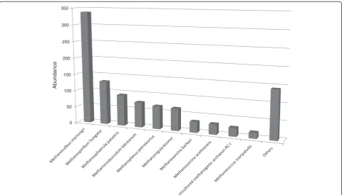 Figure 4 Most abundant Archaea strains. Legend: Identification was based on M5nr database