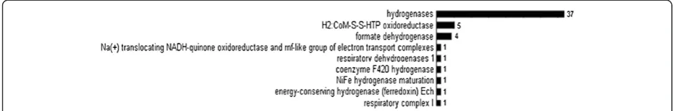 Figure 5 Energy and hydrogen metabolism related enzyme functions in the biogas producing community