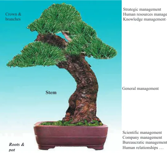 Figure 2. Managerial Bonsai (Tomšík 2006)