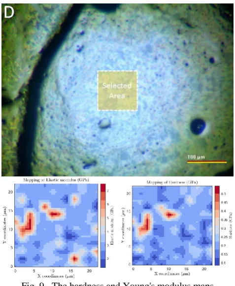Fig. 9.  The hardness and Young's modulus maps   in zones B and C of demineralized bone
