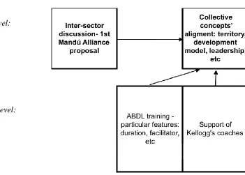 Figure 5- Main conditions that allowed co-evolution and self-organisation to take place in the 