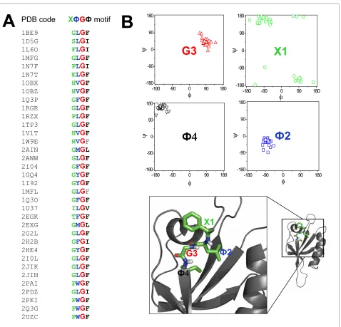 Figure 3 The amino acid residues in the carboxylate-binding loop regions of PDZ domains adopt a specific conformation