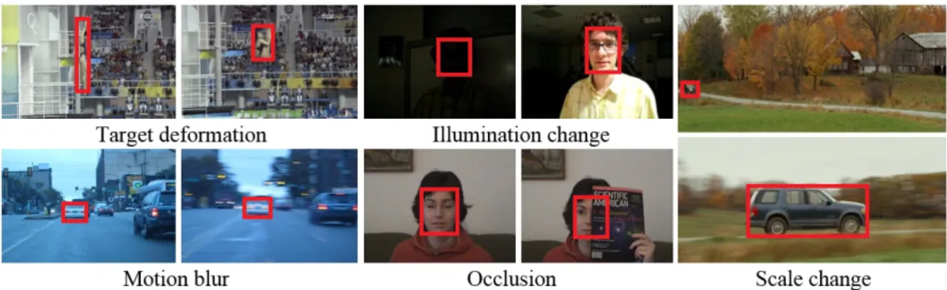 Figure 1.1: Tracking challenges including target significant deformation, illumination change, motion blur, scale change and occlusion.