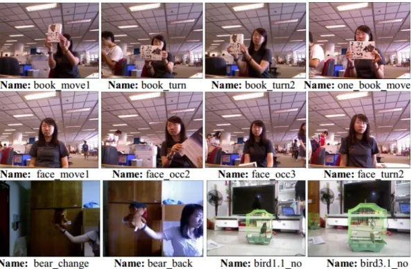 Figure 2.6: Different images representing different testing sequences, which actually captured the same or very similar scenes