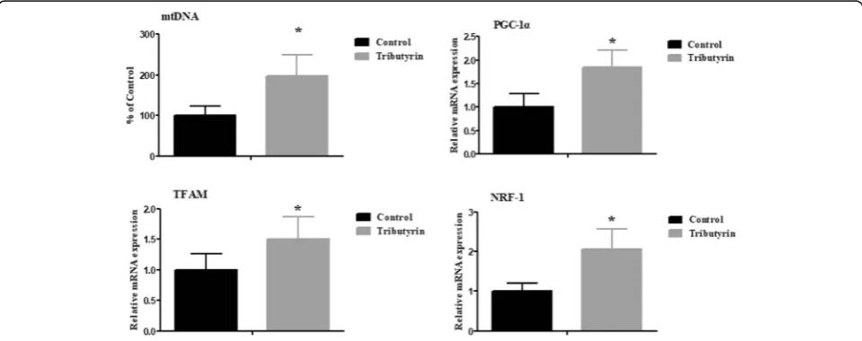 Fig. 1 Effects of tributyrin on mitochondrial ROS production and ΔΨm in jejunum of weaned pigs