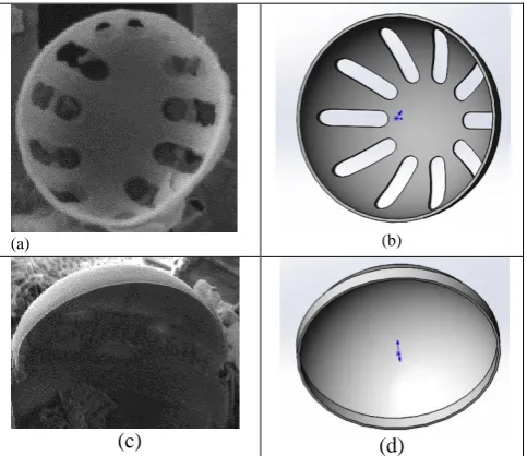 Fig. 9.  FEM natural frequency simulation results for Coscinodiscus sp. (centric) diatom frustule models