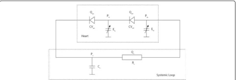 Fig. 1 Lumped parameter model of the (left) heart, with left atrium (Ela), left ventricle (Elv), aortic valve (CVao) and mitral valve (CVmi) and systemic loop(circulation), with resistor (Rv) and capacitor (Cv)