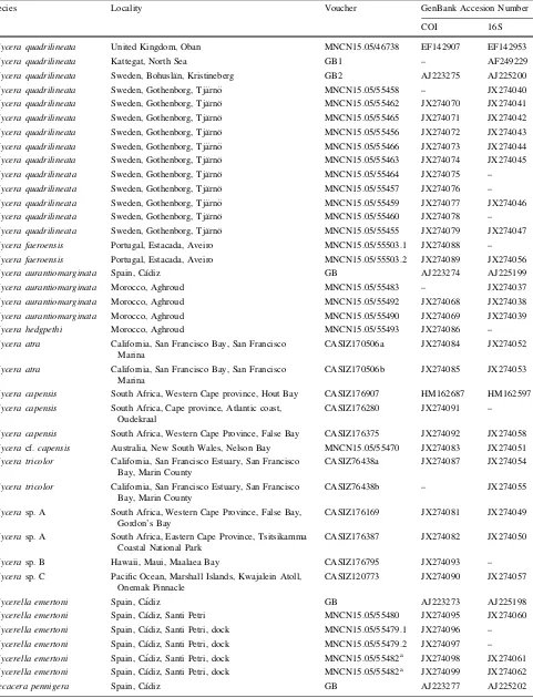 Table 1 Specimens used for molecular analysis, locality, voucher and GenBank accession number