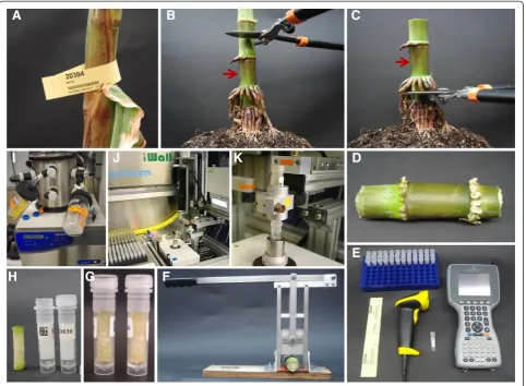 Figure 3 Core sampling procedure. The process of obtaining core samples involves the identification of a sample (e.g