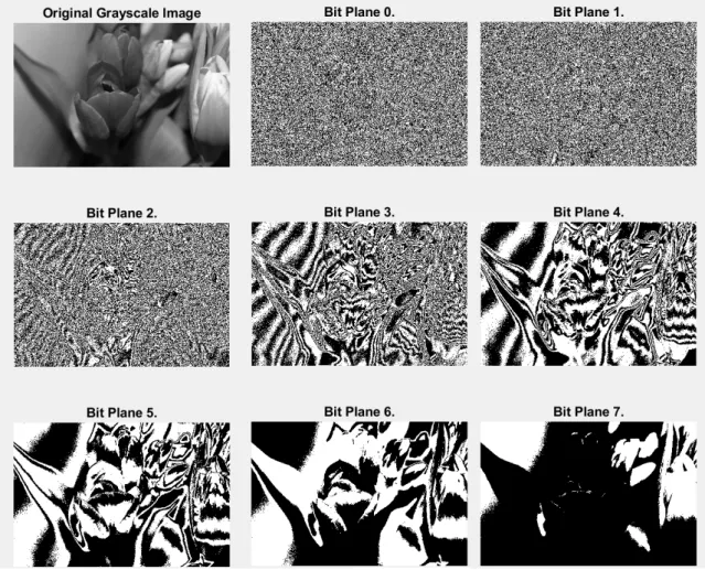 Figure 17: Representation of images in different bit planes (LSB to MSB)