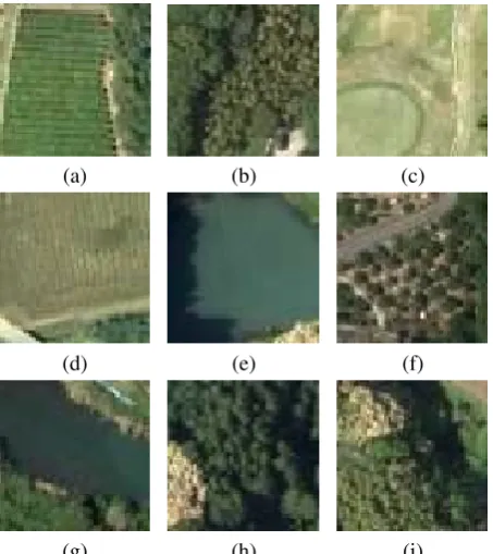 Fig. 1.Class examples of our dataset: (a) tea plantation, (b) bamboo forest,(c) golf course, (d) ﬁeld, (e) pond, (f) orchard, (g) river, (h) broadleaf forestand (i) coniferous forest (Source: GSI tiles).