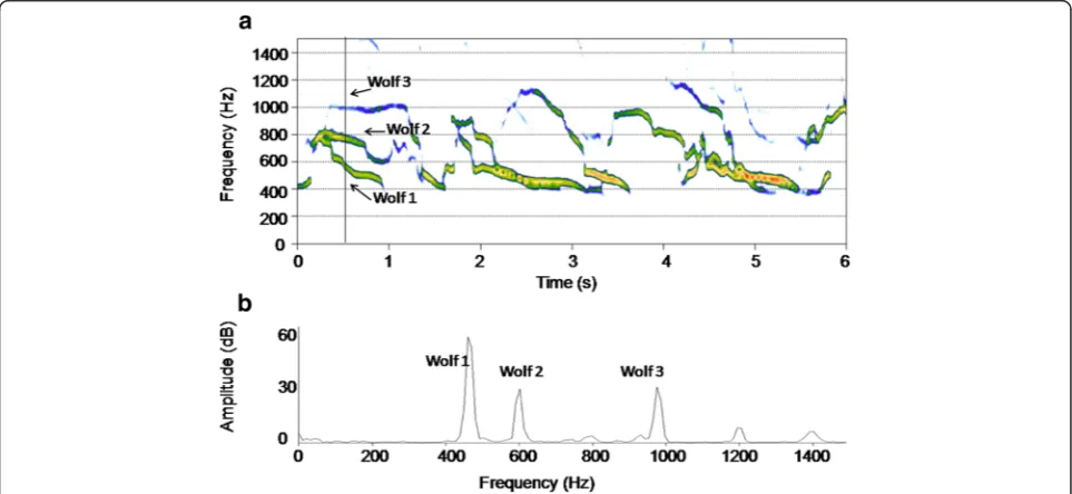 Fig. 2 Spectral components of a wolf chorus. Narrow band spectrogram (DFT size: 2048 samples; Hanning window; frequency grid: 21.5 Hz;time step: 10 ms; bandwidth: 37.5 Hz) showing 3.5 s of a wolf chorus emitted by a free ranging pack and recorded during th