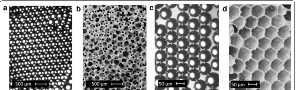Fig. 15 Schematic illustration of the assembly of solid Au microspheres from concentrated nanoparticle (NP) solution through microdroplet gen-eration and subsequent calcination