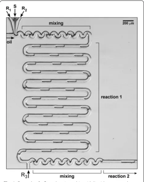 Fig. 1 Example of a flow chemistry chip with liquid segmented flow, between RR1–3 reagents, S separating fluid (prevents premature reaction 1 and R3