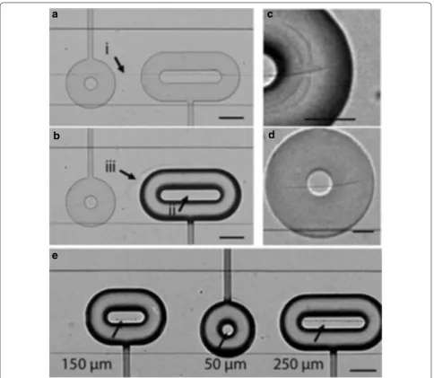 Fig. 4 a Formation of nanowires at solution boundary, b entrapment of nanowires through activation of donut-shaped clamp, c close-up of trapped nanowire under donut clamp, d nanowires stay in position after careful deactivation of clamp under non-flowing c