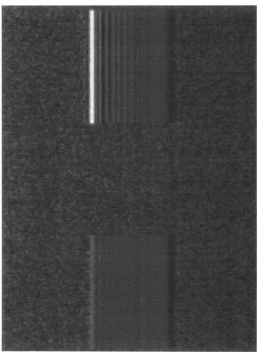 Figure 2.1: Image of two buildings with diﬀerent material properties generated usingSARAS