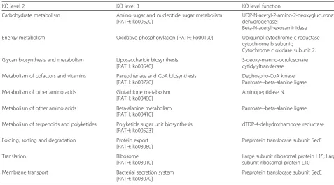 Table 2 KEGG orthology annotation of differential genes enriched in beef steers fed 15 g/d of live yeast product