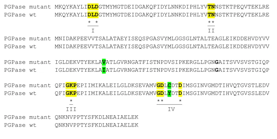 Figure 6: Sequence alignment of Wild-Type and mutated PGPase from S. aureus. The sequence alignment comparing the normal (wild-type) protein sequence for the phosphoglycolate phosphatase (PGPase) from S