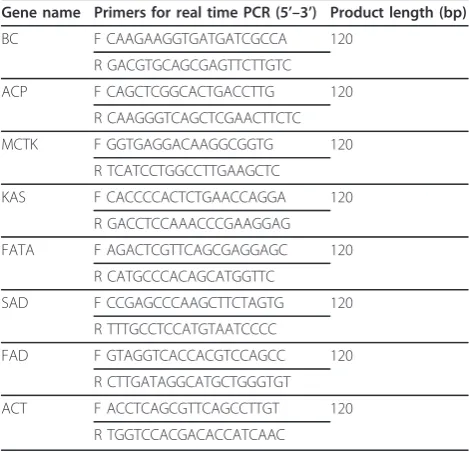 Figure 1 Pathways of lipid biosynthesis and acyl chain desaturation which are known or hypothesized to occur in green microalgaeThe assignment of candidate genes encoding enzymes catalyzing the reactions were also shown in the diagramm in this study Abbreviations:ACP, acyl carrier protein; CoA, coenzyme A; DGDG, digalactosyldiacylglycerol; FA, fatty acid; MGDG, monogalactosyldiacylglycerol; SQDG,sulfoquinovosyldiacylglycerol.