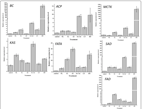 Figure 2 Gene expression detected by real time RT-PCR in control and stress treatment conditions