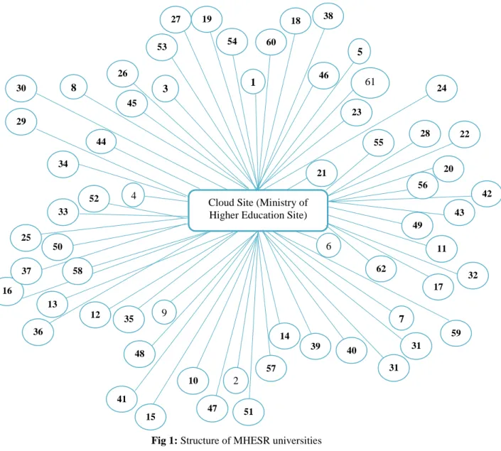 Fig 1: Structure of MHESR universities