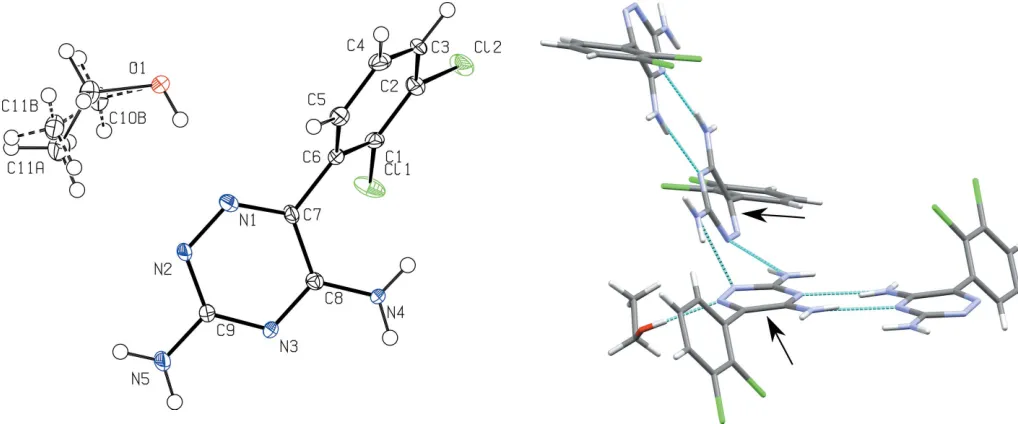 Figure 1A displacement ellipsoid plot of (I), showing the atom-labelling scheme.Figure 3The bonding motif of adjacent lamotrigine dimers