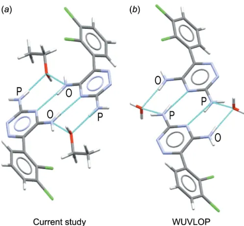 Figure 4(orthopositions are labelled with O and P, respectively. (motif in the ethanolate hydrate structure, held together with the aminesin thea) The dimerization motif in (I), held together with the amines in the position of the triazine group