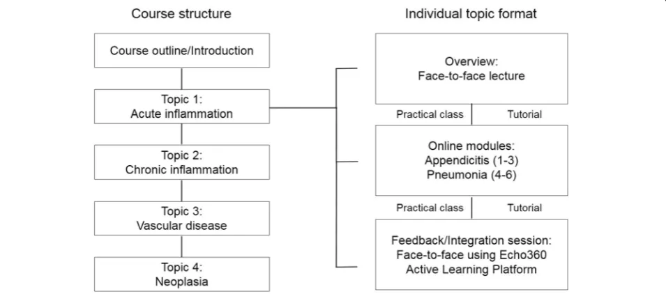 Fig. 1 Blended Learning in the introductory Pathology course. Chart illustrating the overall course structure and the blended learning format used foreach topic (using Acute Inflammation as an example topic)
