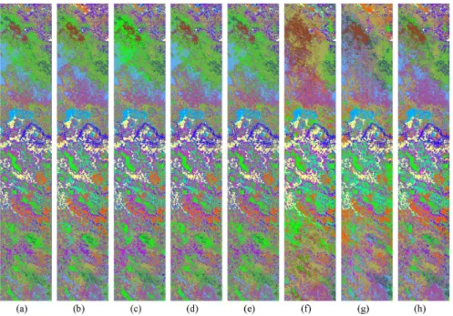 Fig. 6. Classification maps of each method on the Botswana data set. (a) BL. (b) BH. (c) DHLP
