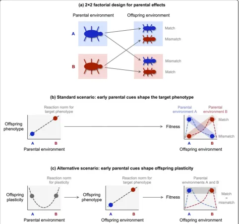 Figure 3 Parental effects on plasticity may change the predictions of experimental studies