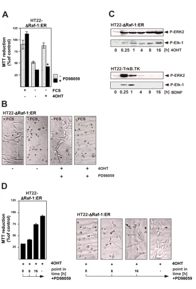 Figure 4 (see legend on next page)