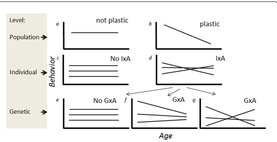 Fig. 1 Schematic illustration showing how plasticity in behavior with age can occur on different levels