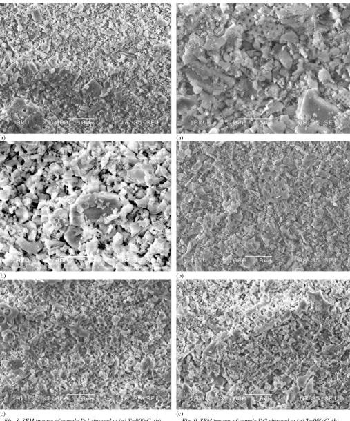 Fig. 8. SEM images of sample Dt1 sintered at (a) T=900ᵒC, (b) T=1000ᵒC, and (c) (a) T=1100ᵒC