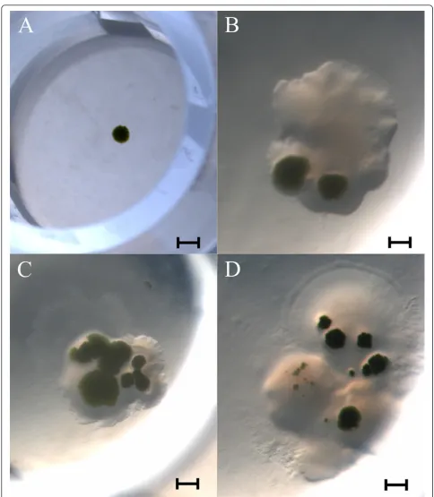 Figure 6 Sorted cells were able to grow on 96-well plates containing solid agar growth mediumsorted event is shown in panels
