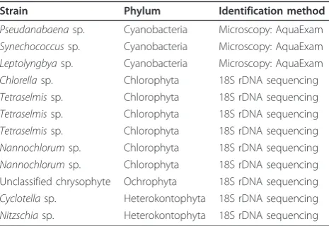 Table 2 Species and strains isolated throughout thiswork, corresponding phylum and methods applied in theidentification of each strain