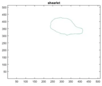 Fig. 5 Result cavity from Shearlet transform contour detection.  