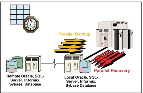 Figure 4: Online, high performance database backups enabled through multiplexing.