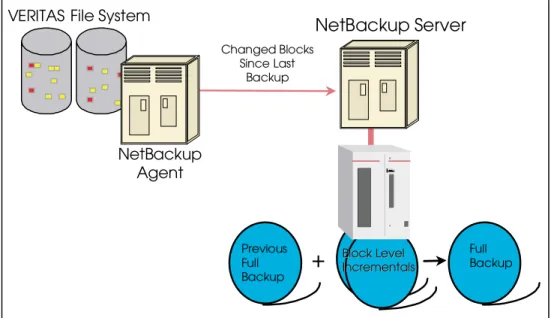 Figure 5: Online block level incremental backups. 