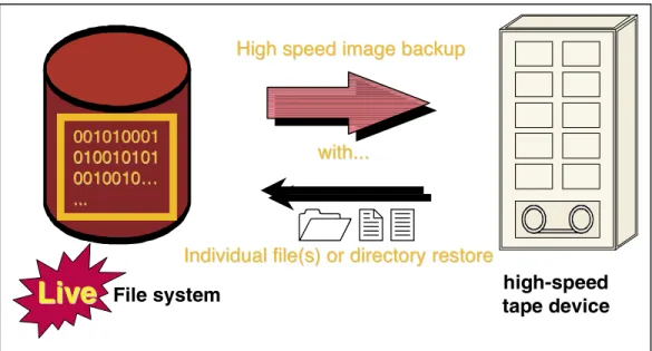 Figure 7: NetBackup FlashBackup