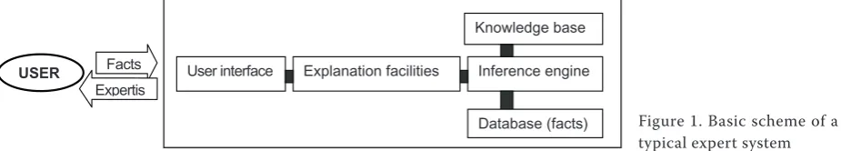 Figure 1. Basic scheme of a typical expert system 