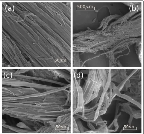 Figure 8 Scanning electron microscopy surface images of the sugarcane bagasse sample treated with alkaline solutionswith bundles starting to come apart;