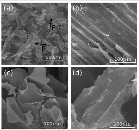 Figure 5 Surface images of the untreated sugarcane bagasse obtained by scanning electron microscopy
