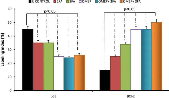 Figure 6. Labelling index of p53 and BCl-2 in ulcerated rat stomach pre-treated with folic acid and omeprazole (p < 0.05 cf ulcer control)