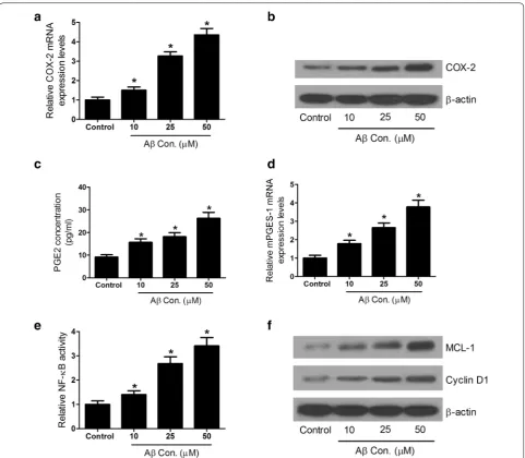 Fig. 3 Aβ treatment promoted COX-2 expression and PGE2 secretion, and activated NF-κB pathway in SH-SY5Y cells