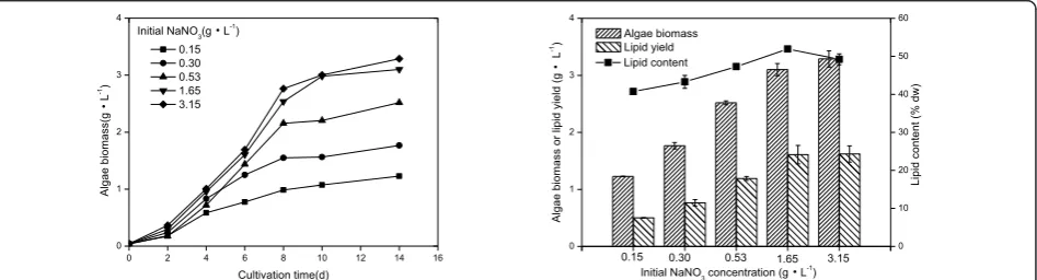 Figure 5 Characteristics ofcontent of Mychonastes afer HSO-3-1 in BG-11 medium. (Left) Growth (solid line), algae biomass, lipid yield, and (right) lipid Mychonastes afer HSO-3-1 in BG-11 medium with different concentrations of NaNO3.