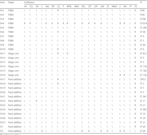 Table 1 Antimicrobial susceptibilities and sequence types of enterococci isolated from feed/feed additives