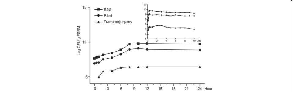 Table 2 Antimicrobial susceptibilities and sequence type of donor strain Efm4 and recipient strain Efs2