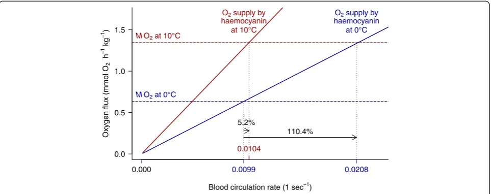 Figure 8 Additional release of oxygen by haemocyanin relieves the circulation system ofremained bound to haemocyanin at 0°C (blue) was largely liberated at 10°C (red), and thereby reduces the need for increased blood circulation(i.e