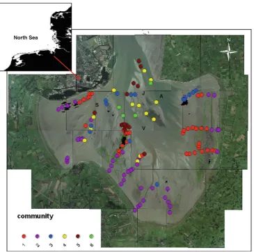 Fig. 1 Location of the Jade Bay. Sampling stations are markedpartially covered with seagrass beds, (blueaccording to their community (cluster): (1) red = Hydrobia ulvae2) purple = mudﬂats, (3) = mixed sediments 1, (4) yellow = mixed sediments 2, (5)